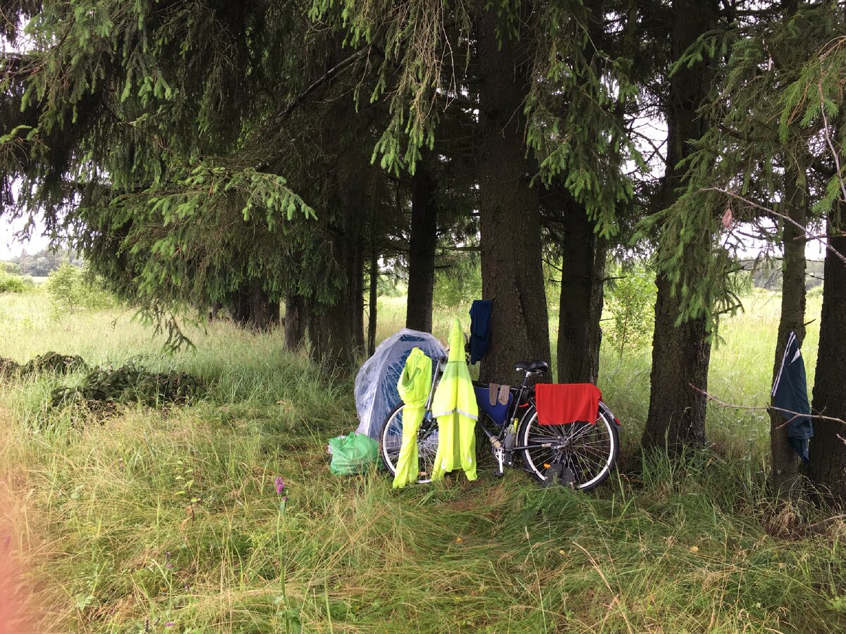 Место ночевки в лесополосе