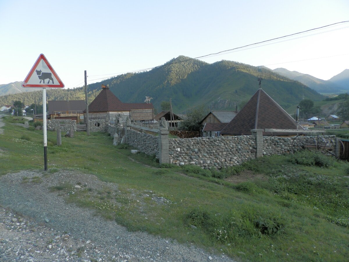 Купчегень республика алтай. Купчегень горный Алтай. Село Купчегень Республика Алтай. С Купчегень Онгудайский район. Село Купчегень горный.