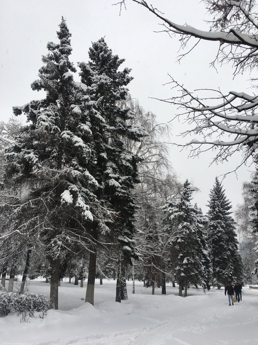 Снег  липкий и влажный - впору лепить «Снежный ком«