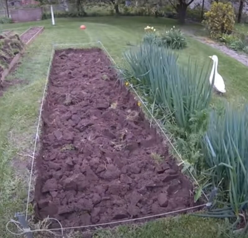 Основа любой теплой грядки - траншея глубиной 15 - 20 см