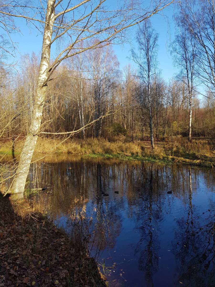 Осень