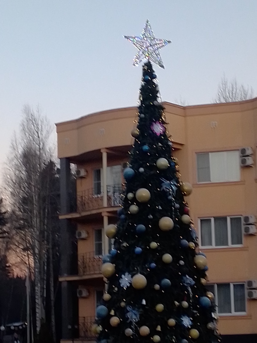 Ёлка в Яхонтах