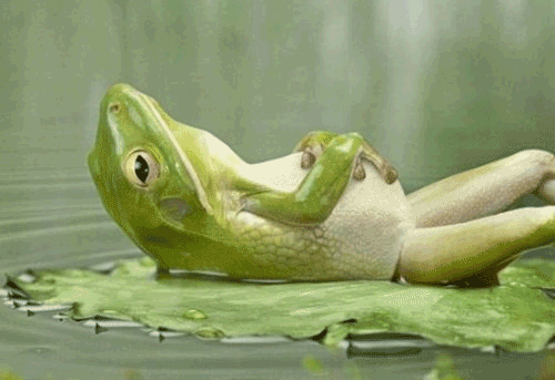 Это я. Жду Нового года, чтобы начать что-то делать со своей жизнью