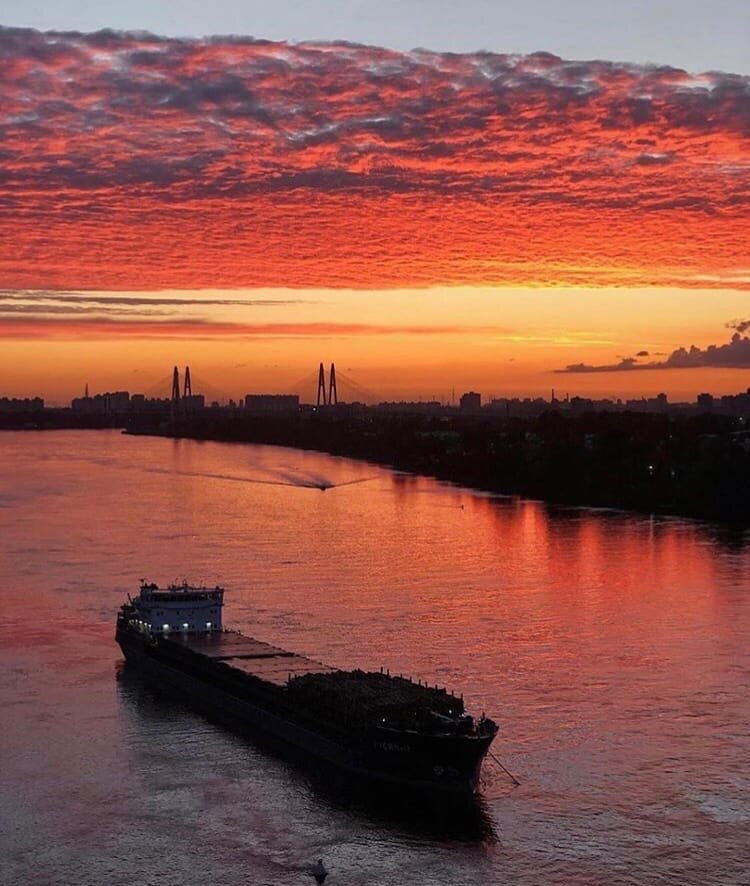 Нева и вантовый мост