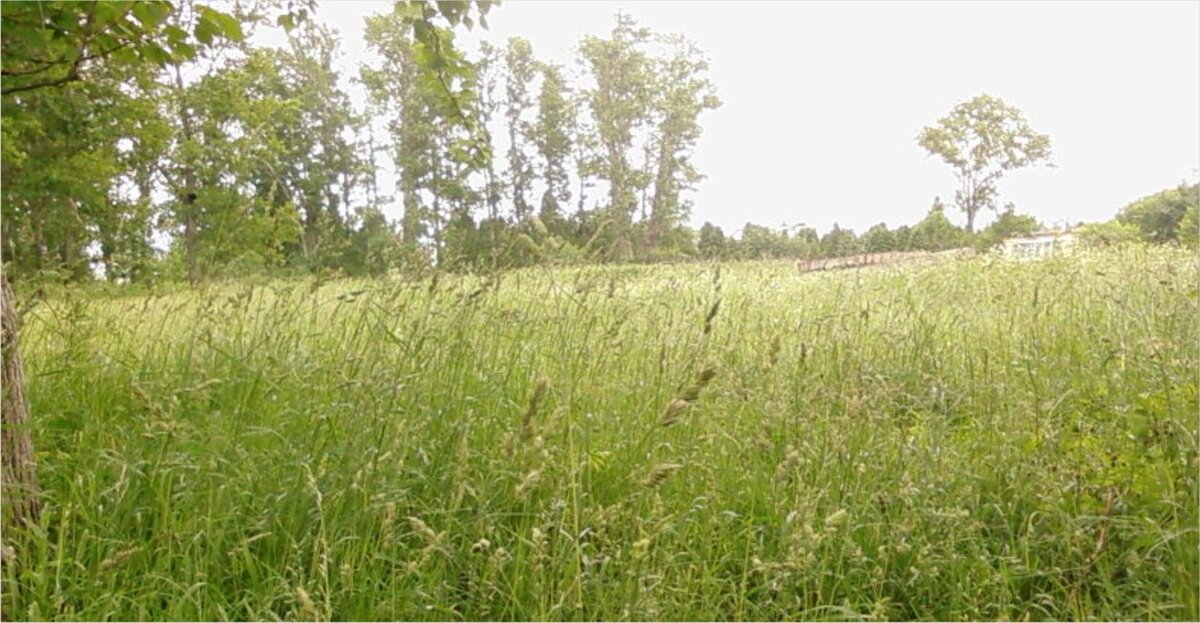 Деревенские просторы. Фото автора