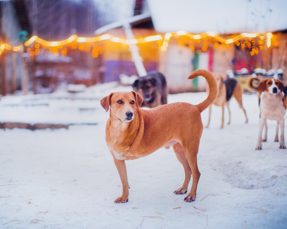 Подписывайтесь на канал и ставьте лайки - так вы поможете развитию канала и не потеряете нашу семейку!