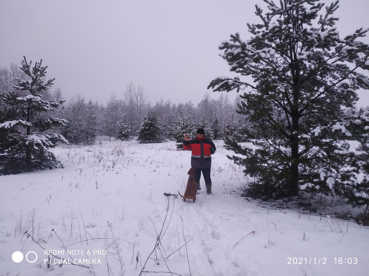 а сушечку дашь?