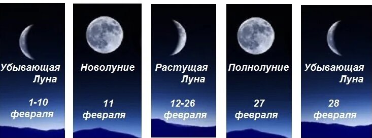 Фазы луны декабрь 2023 года беларусь. Новолуние в феврале 2021 года. Фазы Луны в феврале 2021. Какого числа новолуние феврале 2021. Растущая Луна в 2021 году.