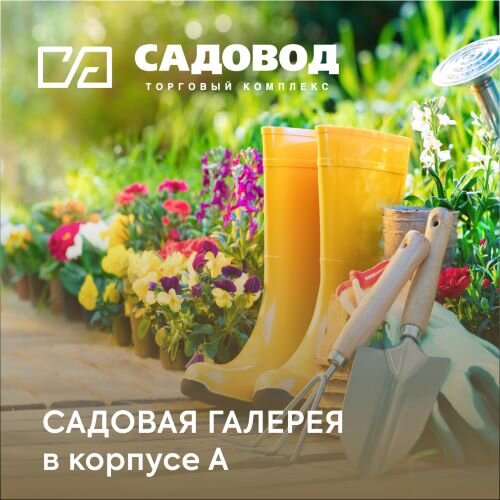 В Садовой галерее большой выбор семян, рассады, растений, кустарников, удобрений, инструментов и декора.