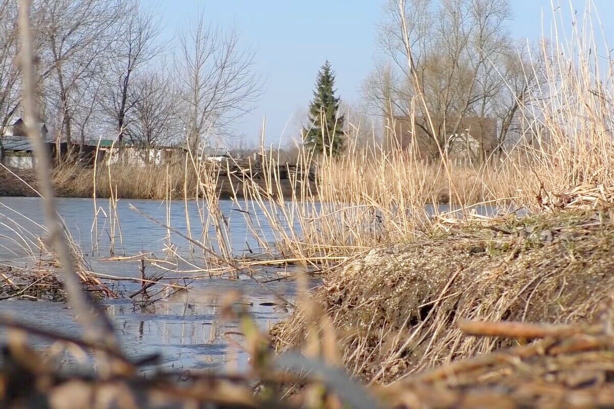 Ловля щуки в марте требует использования обычных, но качественных снастей и искусственных приманок. В остальном — просто желание и успех рыболова.