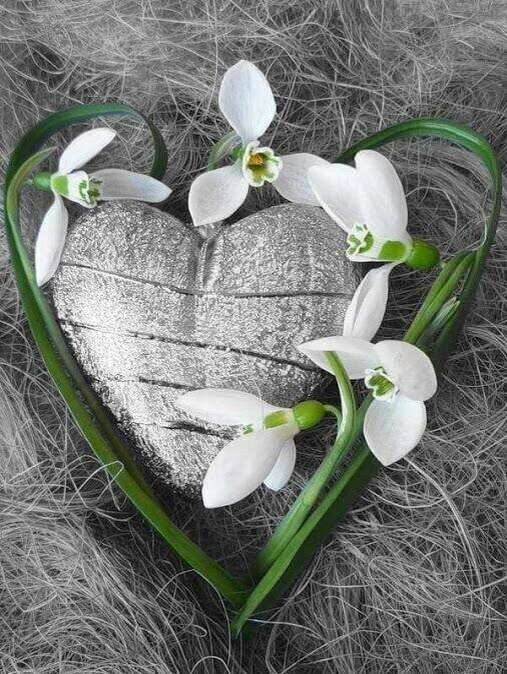 Весной просыпаются сердца💞©️