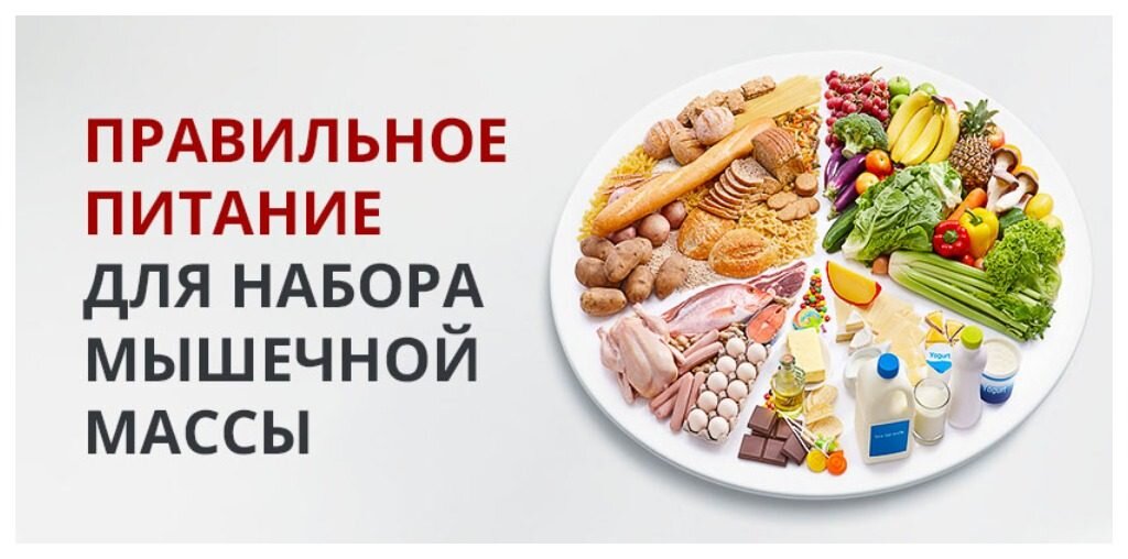Рацион питания чтобы поправиться.