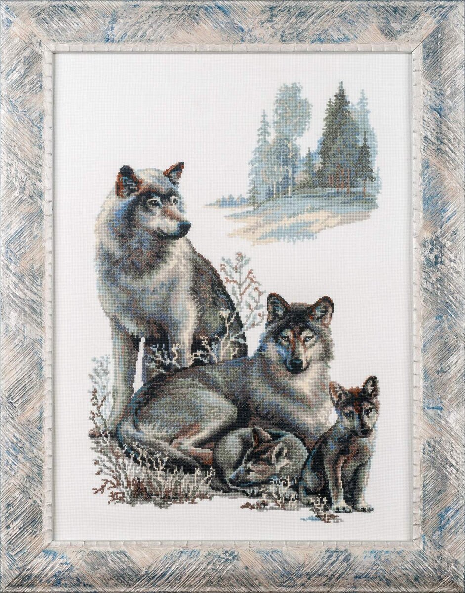 100/021 "Волки" Канва аида14 белая, размер 40х60см, 14цветов мулине Анкор