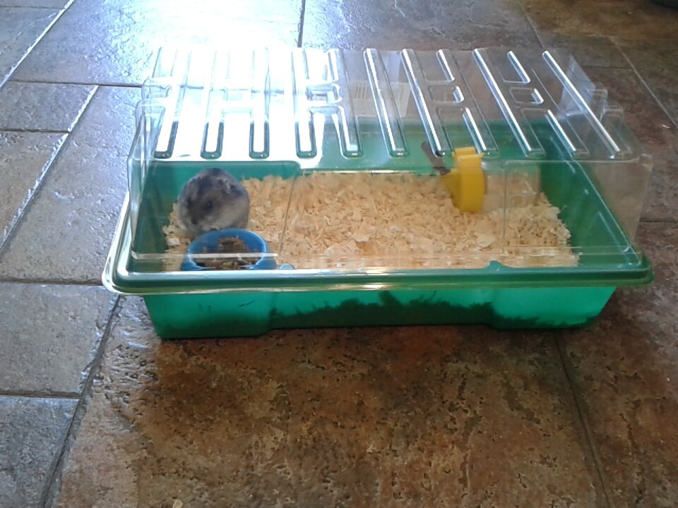 война войной, а обед по расписанию