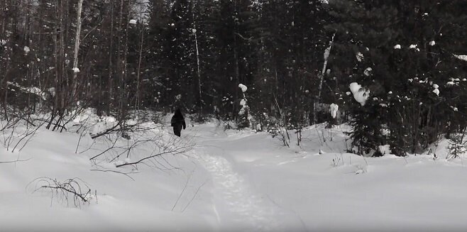 Фото чучуны из якутии. Открытые источники.