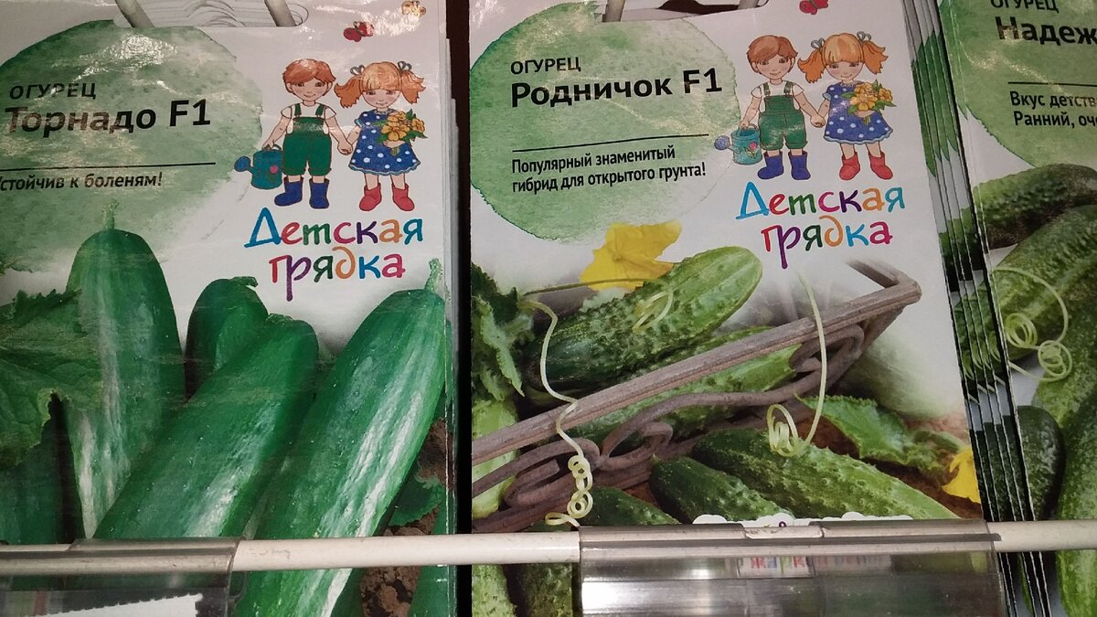 огурцы Торнадо и Родничок