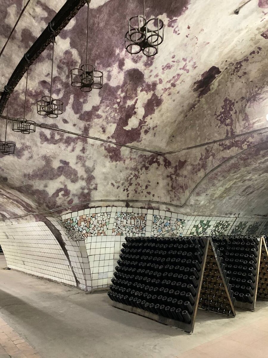 Винный грот, на потолке – винный грибок