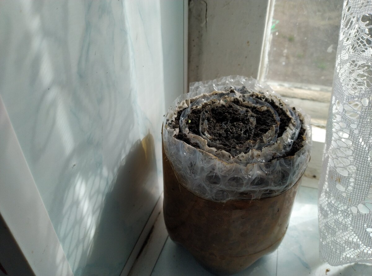 А потом закрутим. Вуаля! 