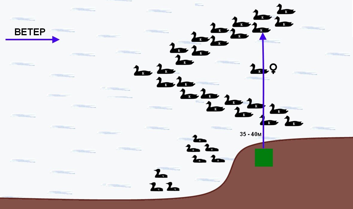 Схема расстановки чучел уток на охоте