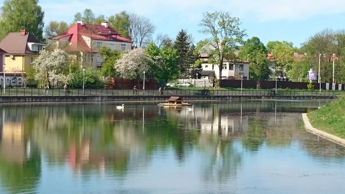 Калининград.Пруд Поплавок. Фото автора