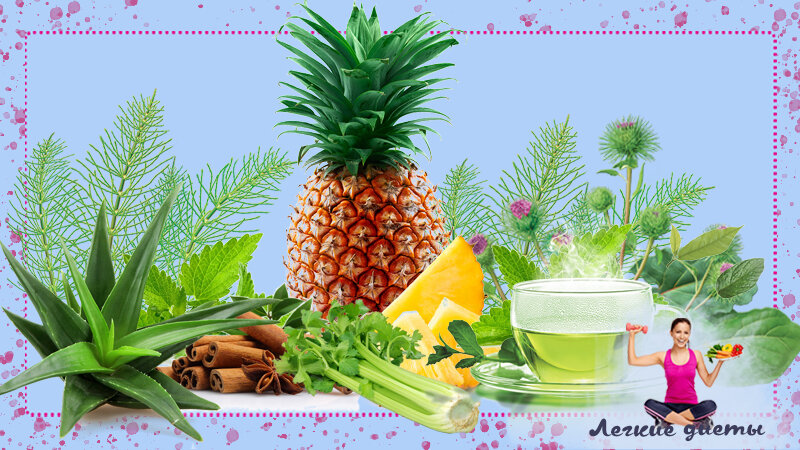 Какая трава помогает похудеть?