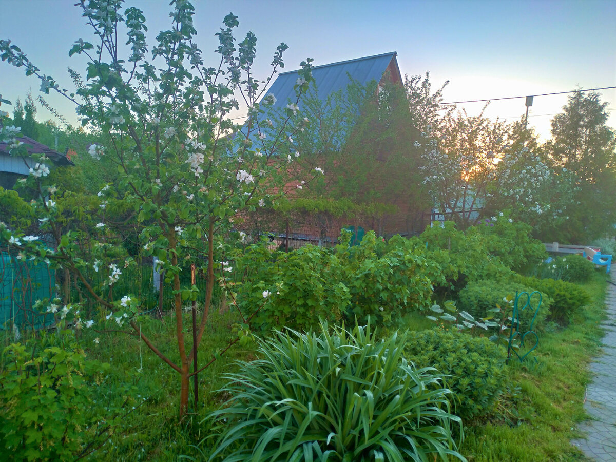 фото автора