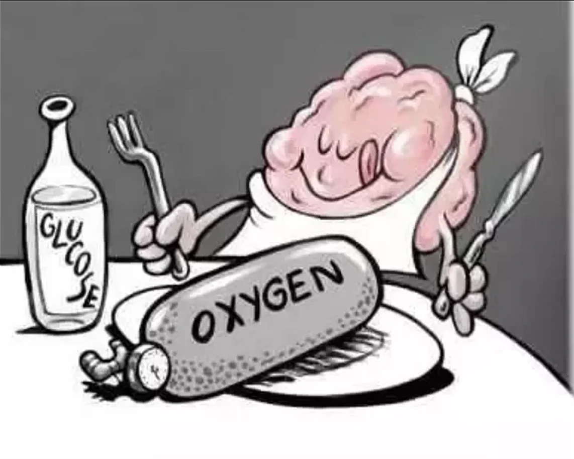 Кислород через мозг. Мозг карикатура. Потребность мозга в кислороде. Потребление кислорода мозгом.