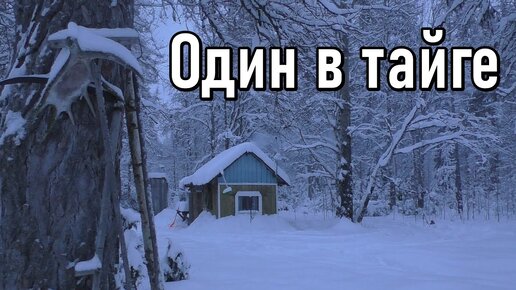 下载视频: Второй заезд на участок,один в тайге,изба,отрыв от цивилизации.