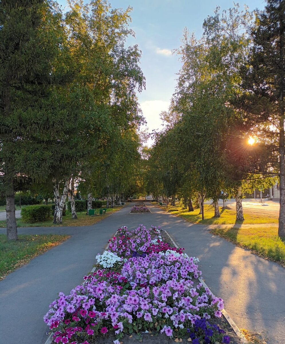 Солнечная аллея. Серия фотографий  племянницы Алёны. 