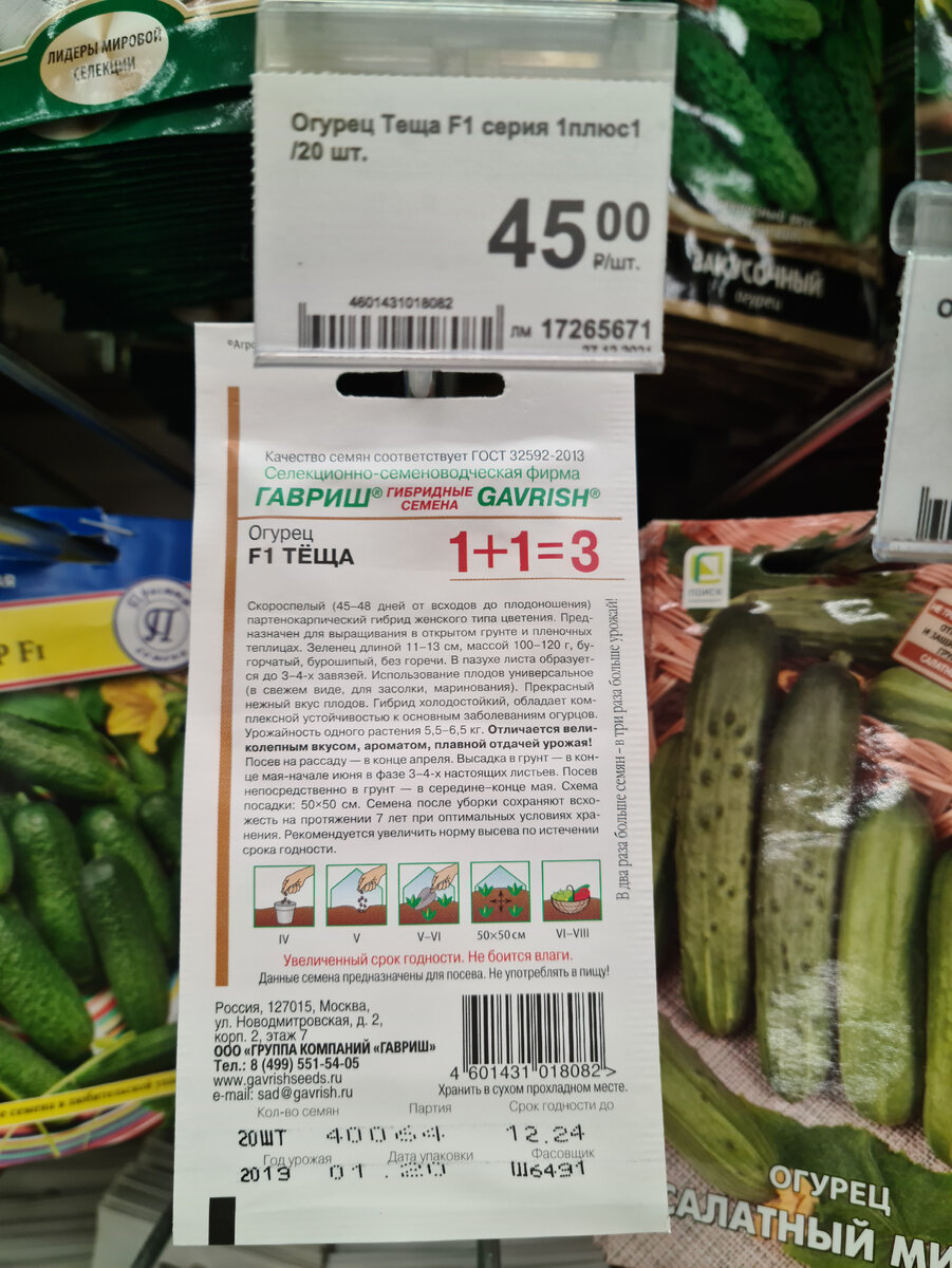 семена огурцов