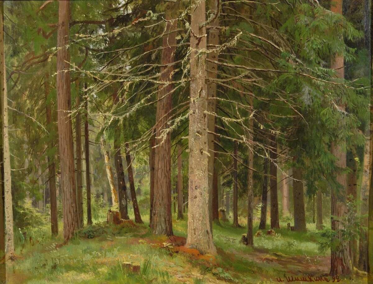 Шишкин И.И. Лес. 1892 г. Из собрания ГВСМЗ