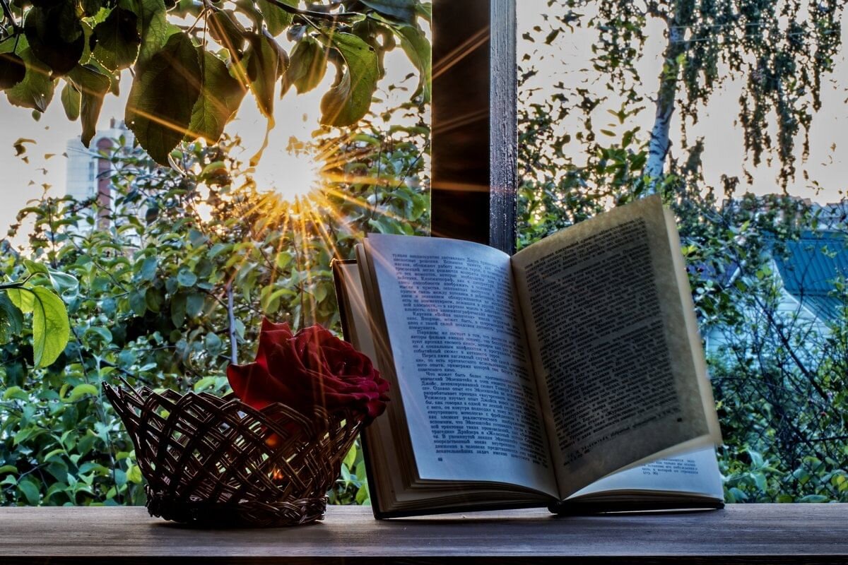 Яндекс картинки.