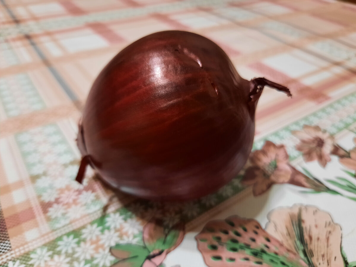 Лук на столе 2