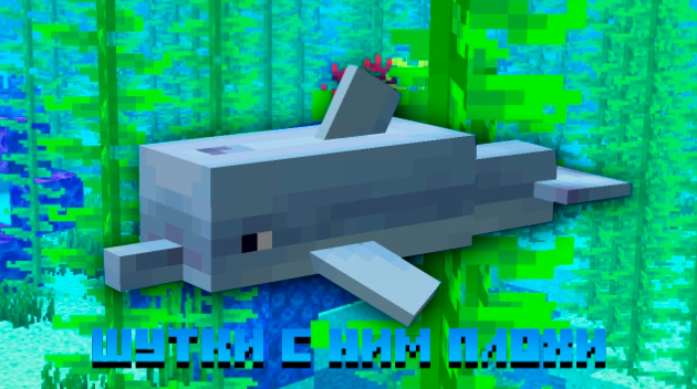 Не, я реально