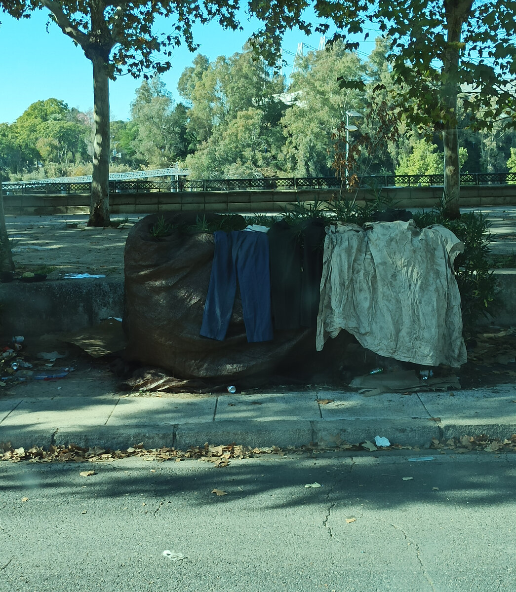 Вариант уличного дома, внутри кустарника