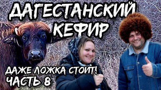 Дагестан удивляет и шокирует! Буйволы, термальные бани и курзе с дагестанским кефиром!