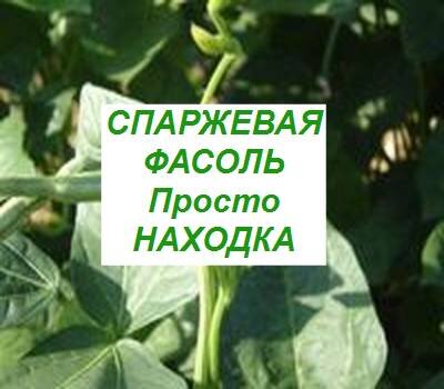 спаржевая фасоль