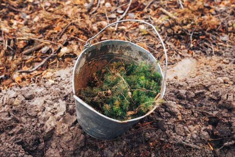 Весенний конкурс волонтерских посадок