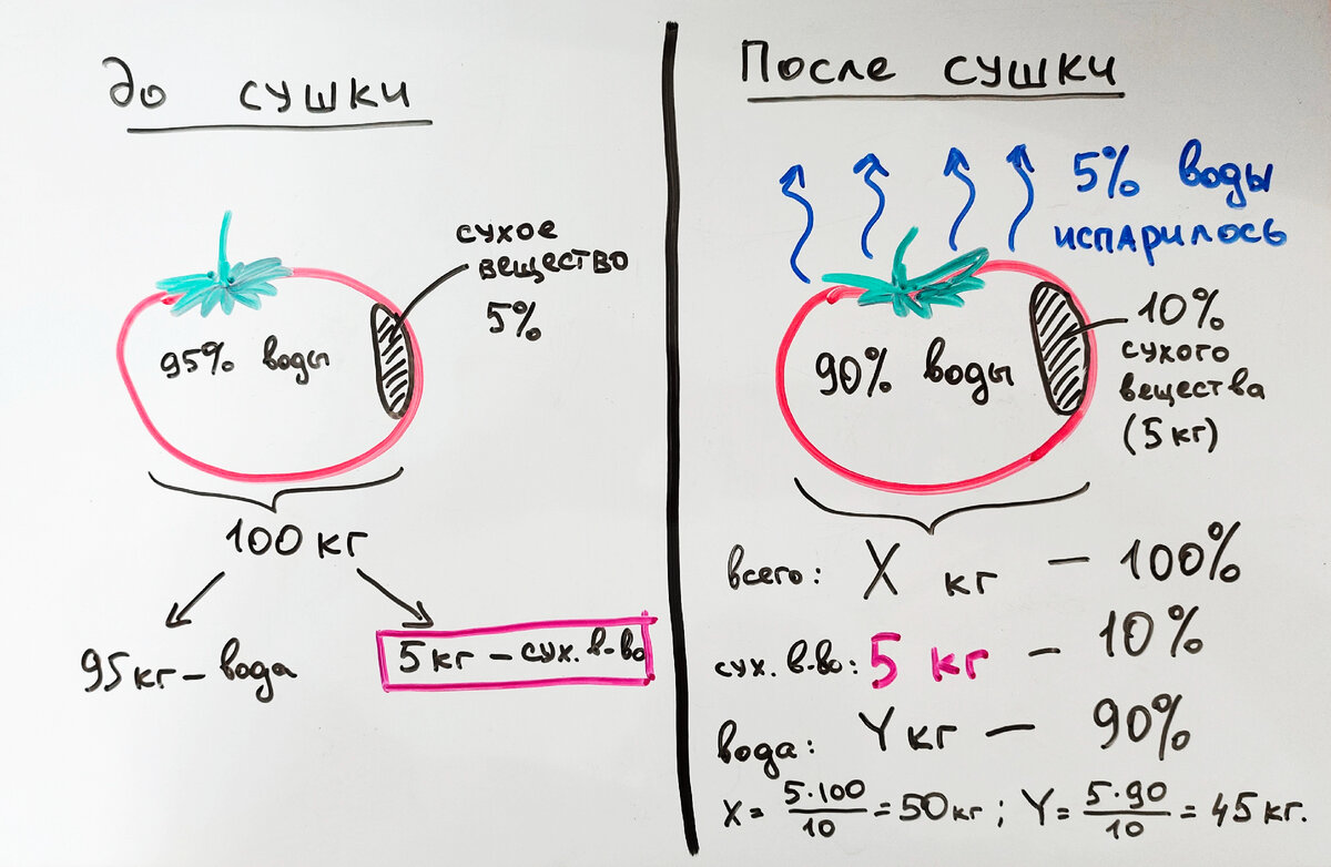 Задача про помидоры и проценты | Этому не учат в школе | Дзен