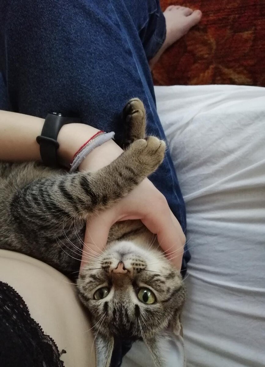 Пончик, злая свекровь и почему некоторые болезни бывают полезны ...