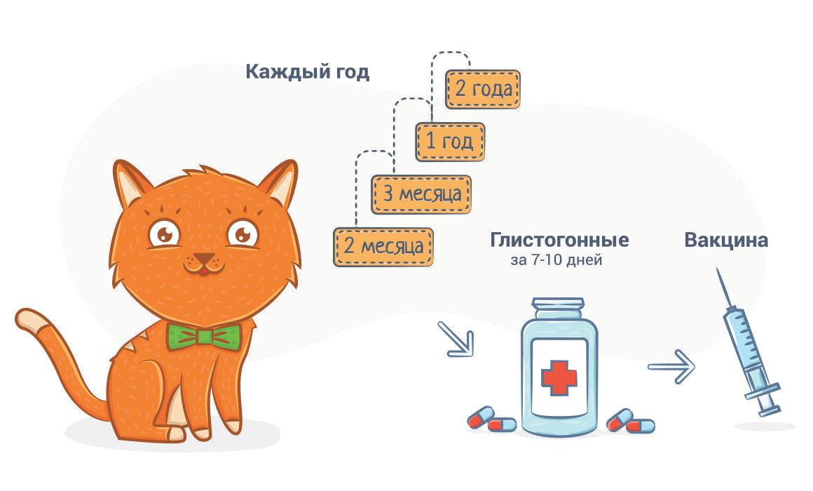 Плановая вакцинация