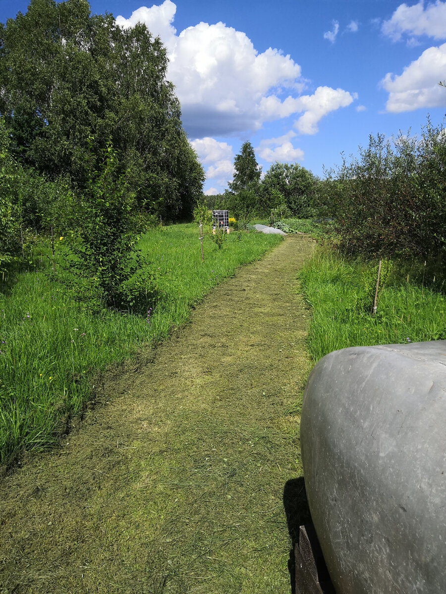 Вид на пашню от бочки