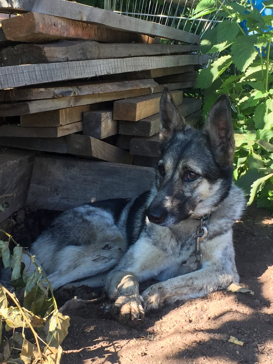 Важная Марго