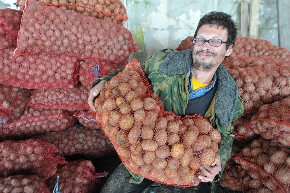     Покупатели приготовились скупать картофель продукт мешками. Анатолий ЖДАНОВ
