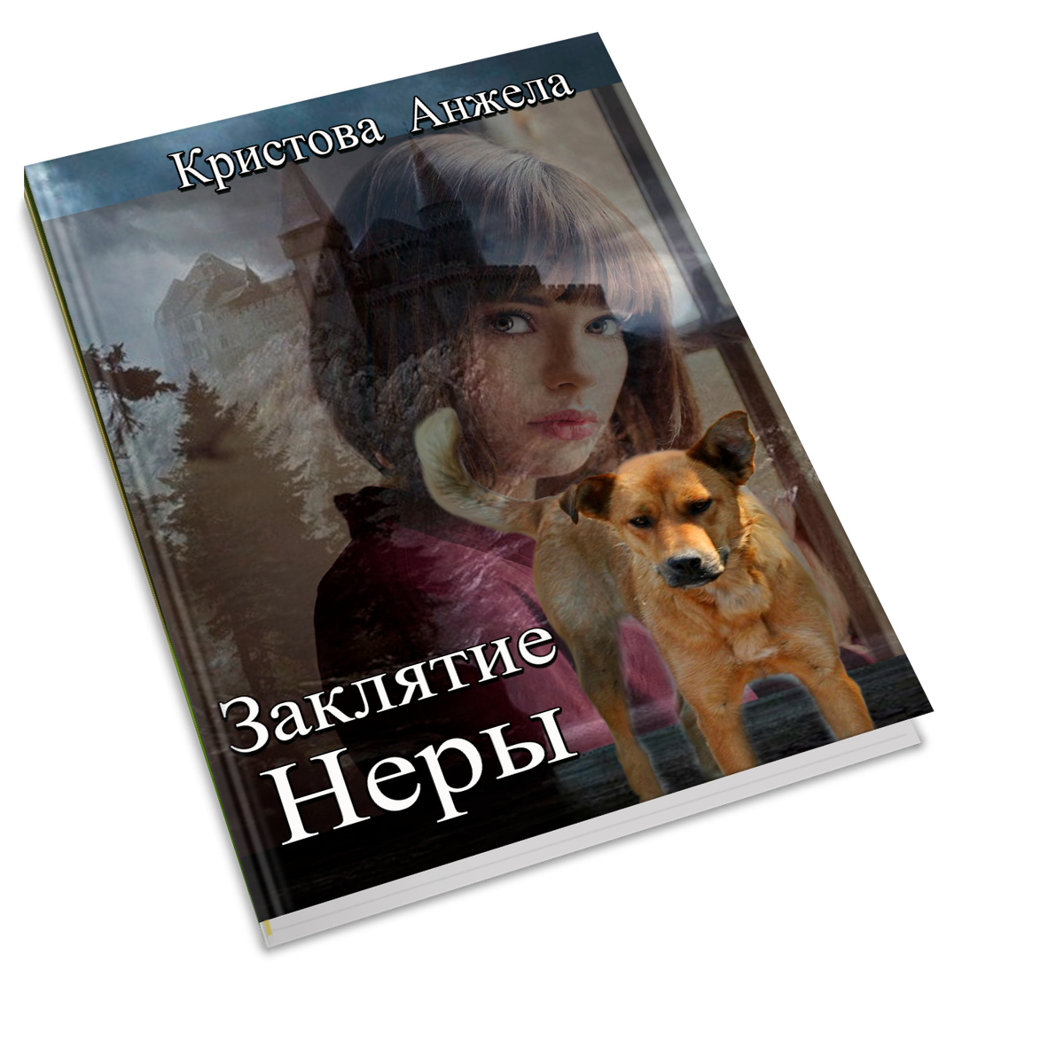 обложка книги Заклятие Неры