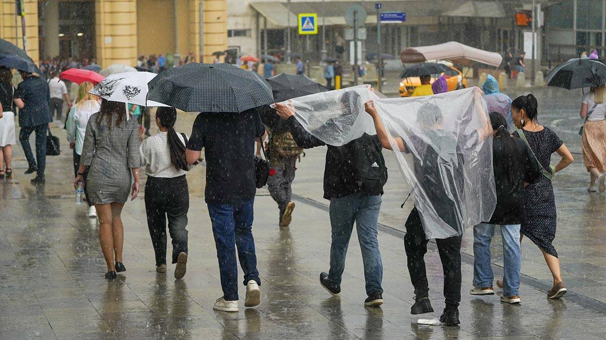    Фото: Пелагия Тихонова / АГН Москва