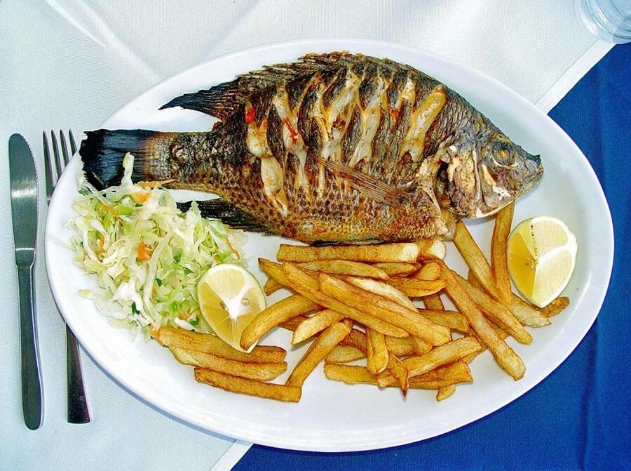 Рыба Святого Петра - телапия. Фото из открытых источников.