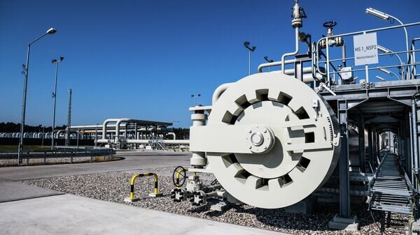   © РИА Новости . Дмитрий Лельчук