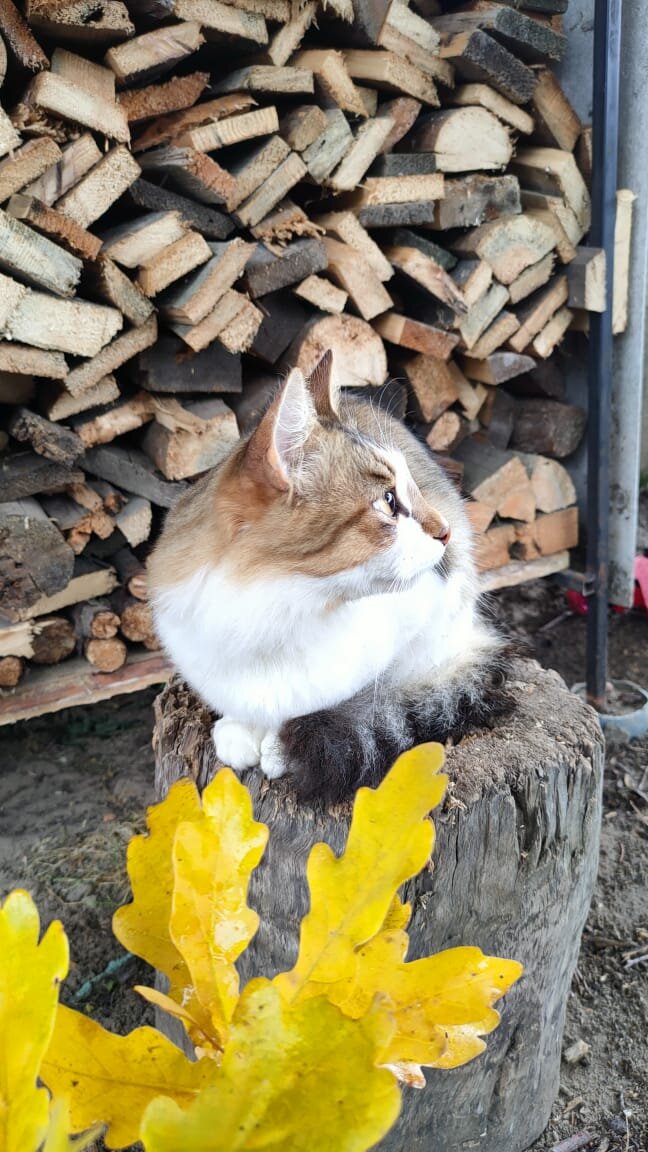 Фото Серафимы