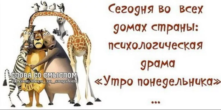 Начните неделю. Открытки с понедельником прикольные. Смешные фразы про понедельник. Прикольные высказывания про понедельник. Афоризмы про понедельник.